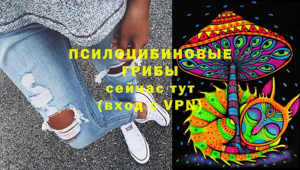 шишки Алзамай