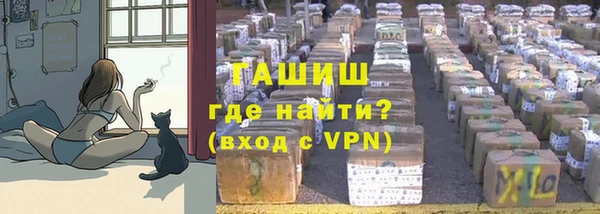 шишки Алзамай