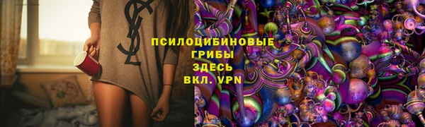 шишки Алзамай
