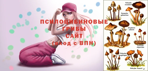 ПСИЛОЦИБИНОВЫЕ ГРИБЫ Алексин