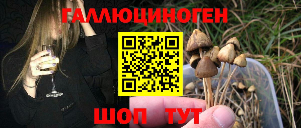 Галлюциногенные грибы MAGIC MUSHROOMS Нурлат