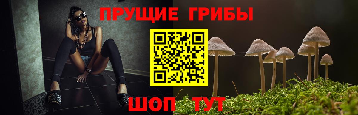 Галлюциногенные грибы Psilocybe  Вход с VPN  Нурлат 